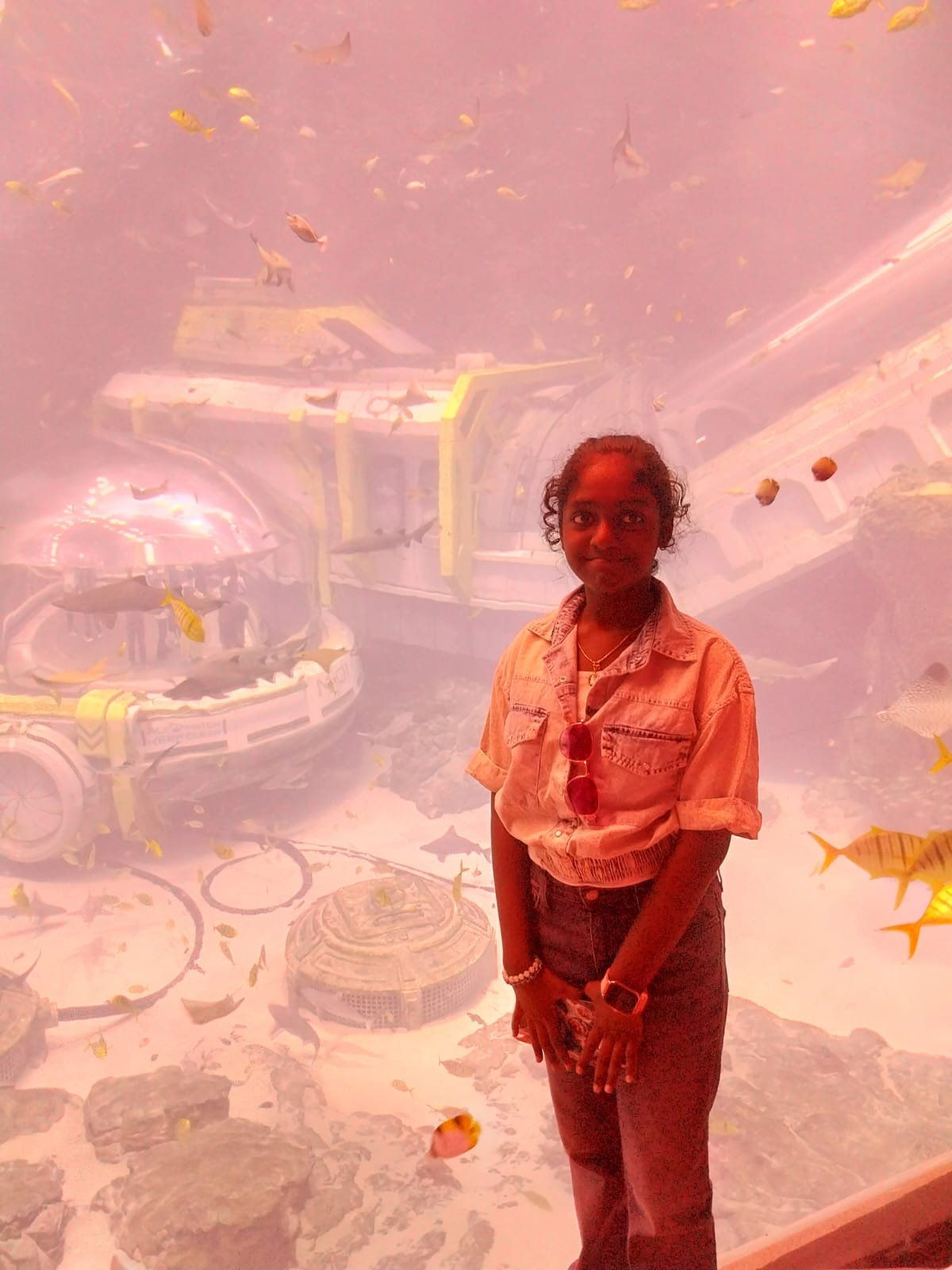 Aquarium Introduction 2