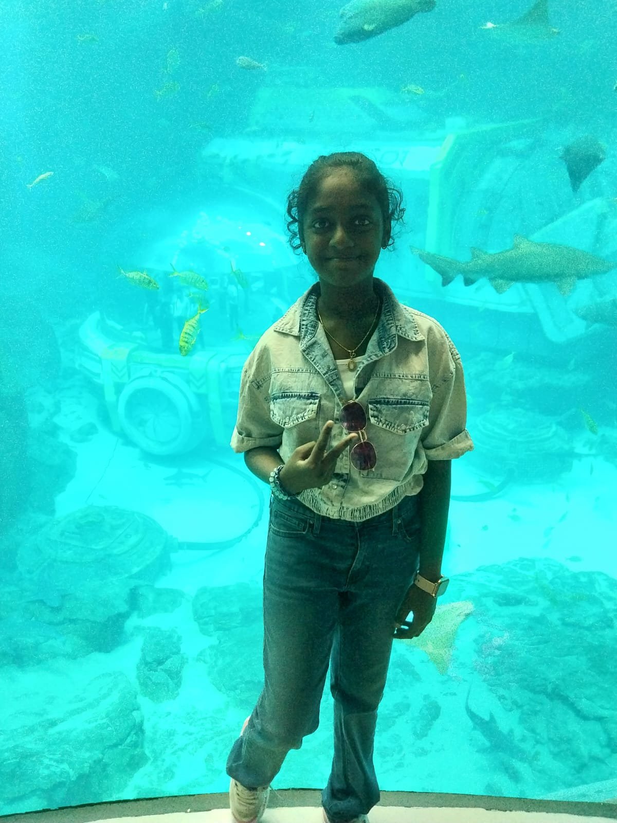 Aquarium Introduction 1