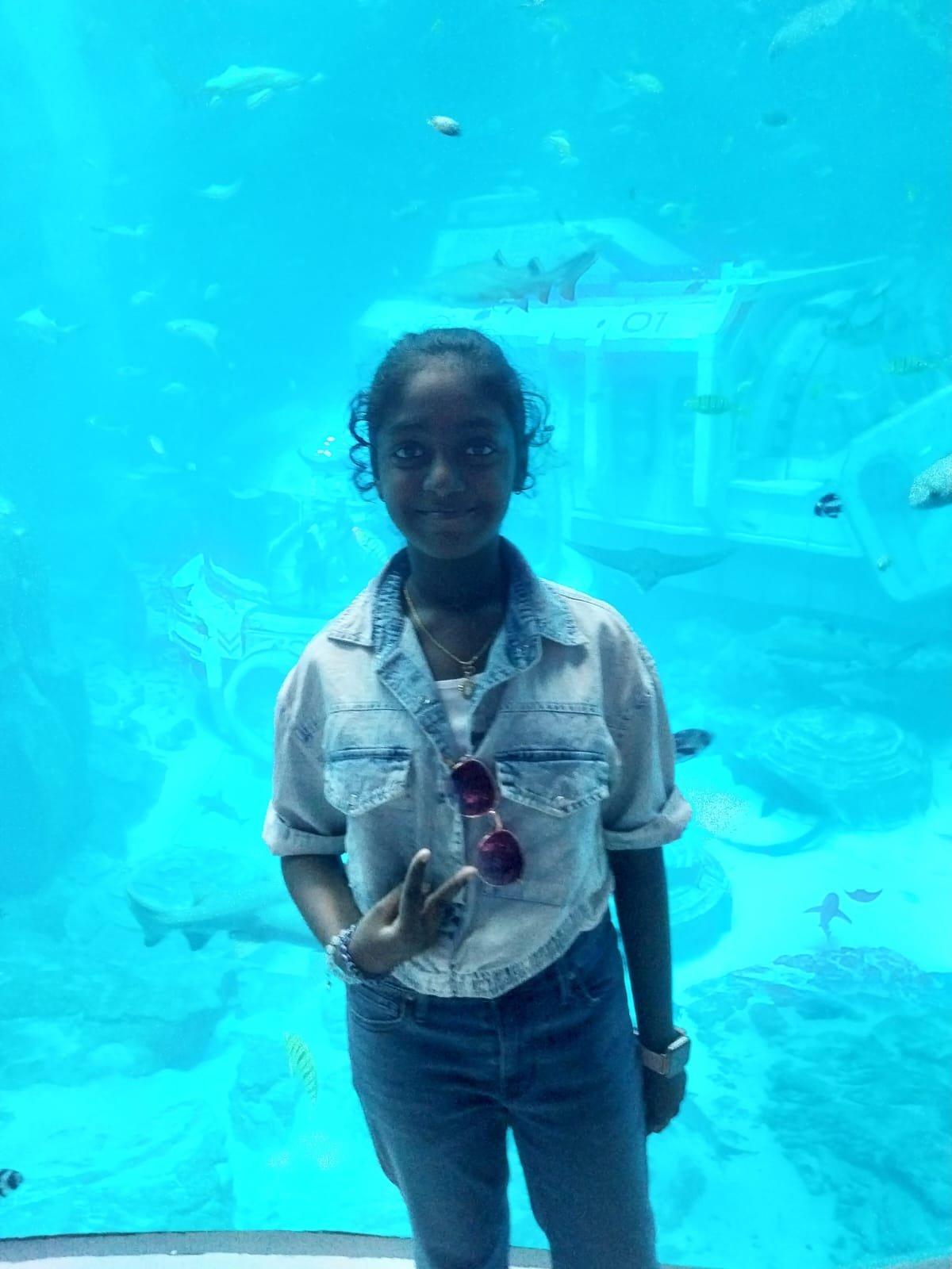 Aquarium Introduction 2